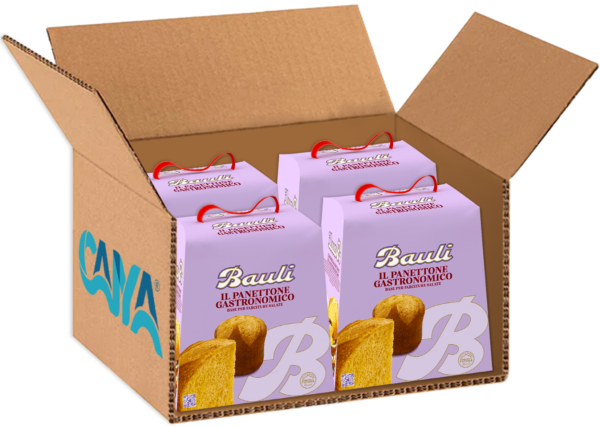 Bauli Panettone Gastronomico 700g box