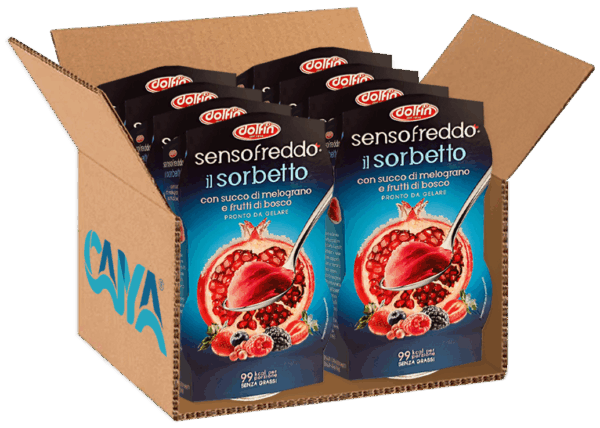 Dolfin Sensofreddo Il Sorbetto Melograno e Frutti di Bosco 200ml - immagine 4