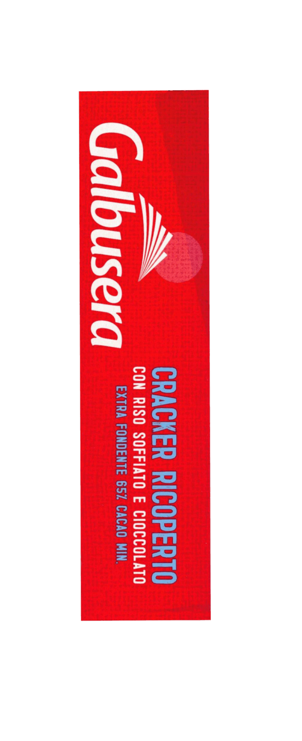 Galbusera Cracker ai Cereali Ricoperto con Riso Soffiato e Cioccolato Fondente Extra 150g