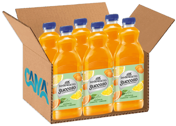 San Benedetto Succoso ACE 1,5L box
