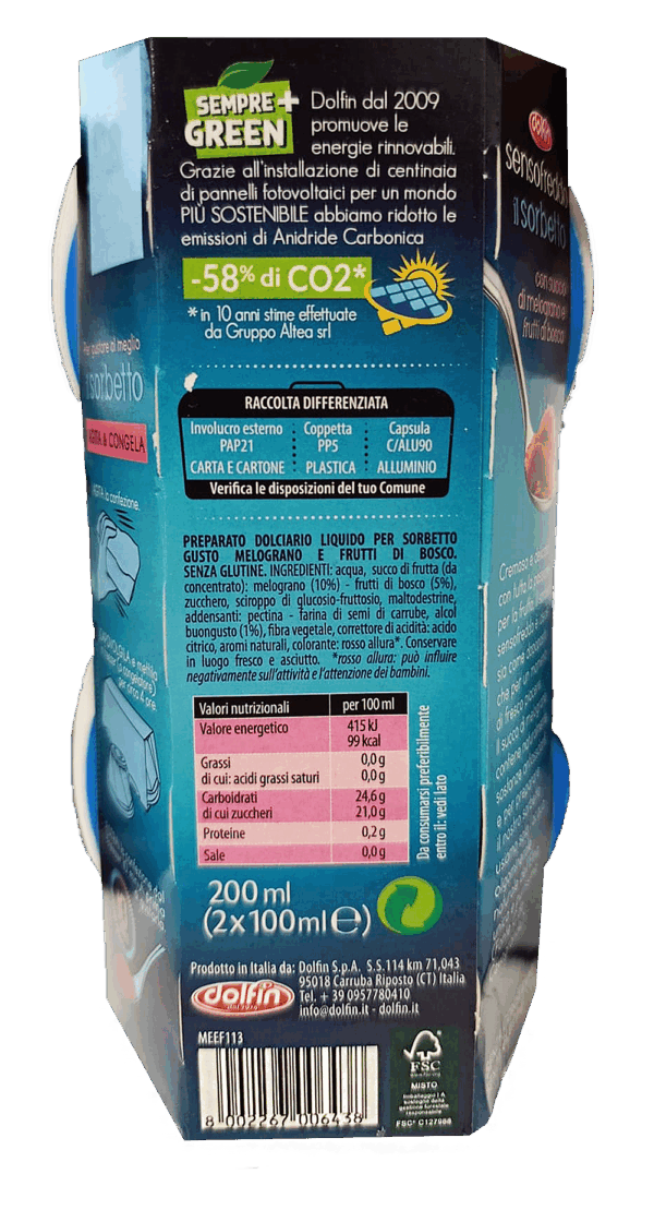 Dolfin Sensofreddo Il Sorbetto Melograno e Frutti di Bosco 200ml - immagine 2