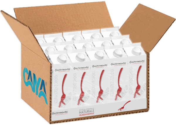 Gastronauta Acqua Minerale NATURALE Oligominerale in Brick 50cl - immagine 2