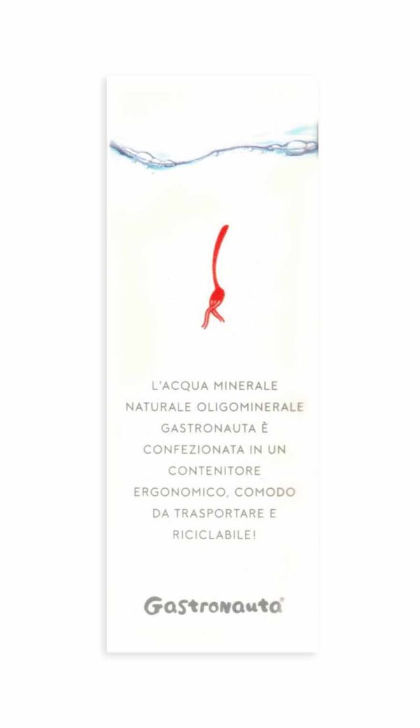 Gastronauta Acqua Minerale NATURALE Oligominerale in Brick 50cl - immagine 4