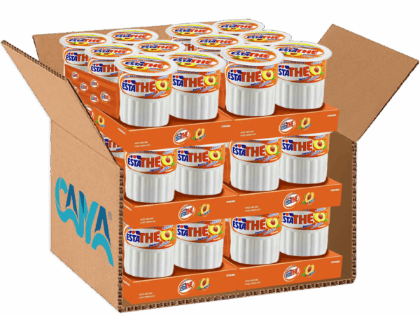 Estathe Thè Pesca in Brick 6x200ml box