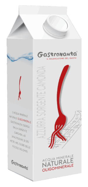 Gastronauta Acqua Minerale NATURALE Oligominerale in Brick 50cl