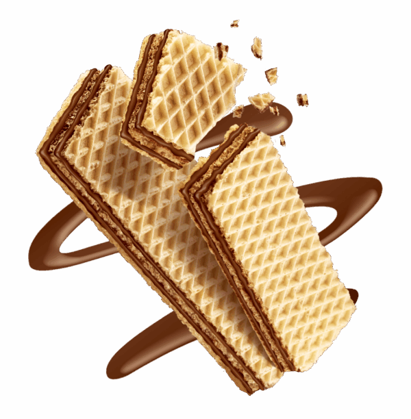 Galbusera Buonicosì I Golosi Wafer al Cacao 180g